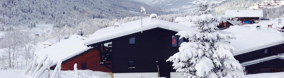 Le Numéro 5 - Châtel - le chalet dans la neige